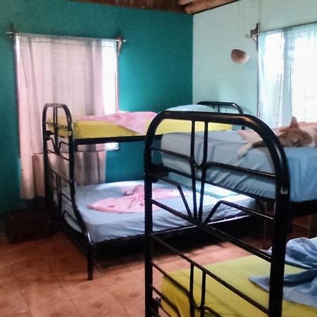 Hostel Matilori Samara Luaran gambar