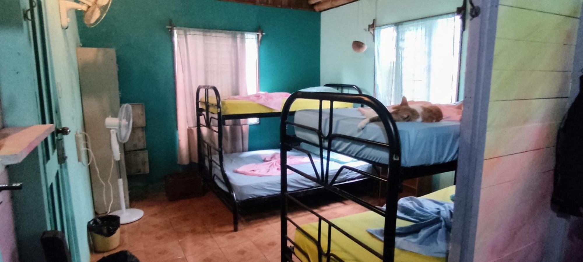 Hostel Matilori Samara Luaran gambar